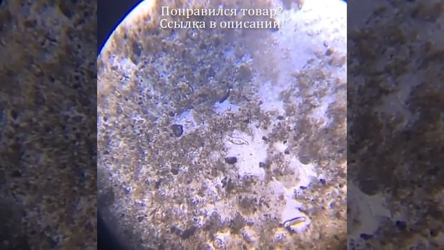 Биологический HD микроскоп с увеличением 6000X-15000X, цифровой светодиодный лабораторный комбиниро смотреть онлайн