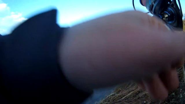 ОКУНЕВАЯ РАЗДАЧА. Отводной поводок. Рыбалка на спиннинг. Cadence Primo. смотреть онлайн