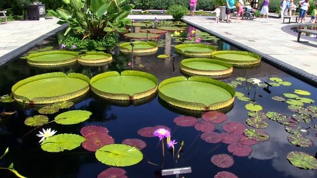 Сады Дюпона, Пенсильвания США, Филадельфия Часть-2