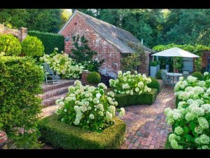 Гортензия в ландшафтном дизайне