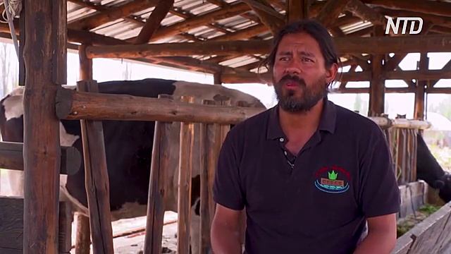 Рослинні фільтри допомагають врятувати рідкісні личинки саламандр