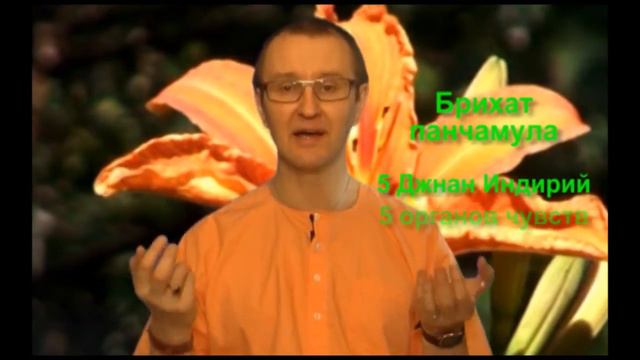 Аюрведа:  Гармония 10-ти корней (Роберт Грислис) 28 урок