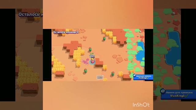 Пайпер на охоте смотреть онлайн