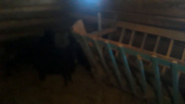 Наша живность смотреть онлайн