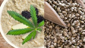 В чём ПОЛЬЗА семян КОНОПЛИ - жизненно важного продукта для борьбы с болезнями!