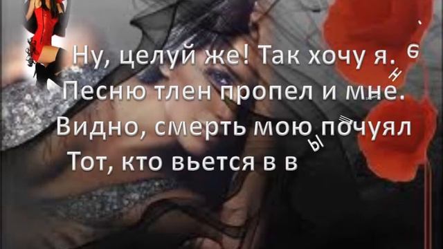 целуй меня целуй!!. смотреть онлайн