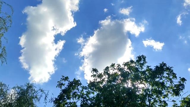 10 знаков, что вы нашли единственного смотреть онлайн