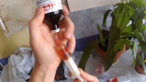 Опять бородавки у коровы.