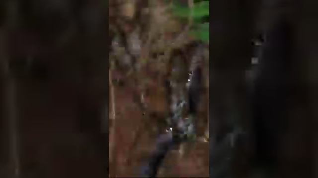 A cobra and a python fight sri lanka,plz Subscribe the channel. смотреть онлайн