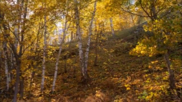 Рай для нас не потерян. Автор Любовь Чернышова. Мелодекламация. Видео Светланы Полыгаловой. смотреть онлайн