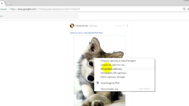 Как WebP картинки сохранить в PNG или JPG / How WebP format images in JPG or PNG format смотреть онлайн