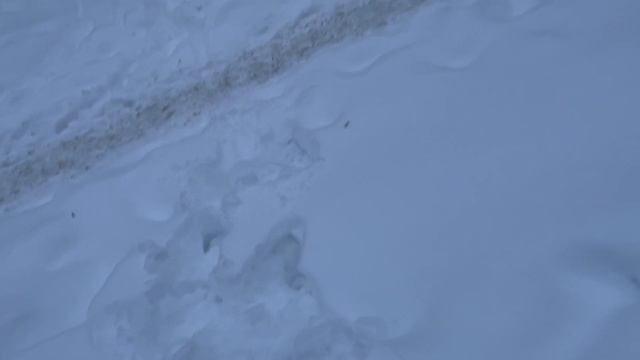 Я БЬЮ ТАТУИРОВКУ!? vlog смотреть онлайн