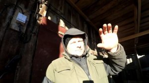 Тимпания рубца у телят(вздутие). Встал желудок у теленка, чем лечить.