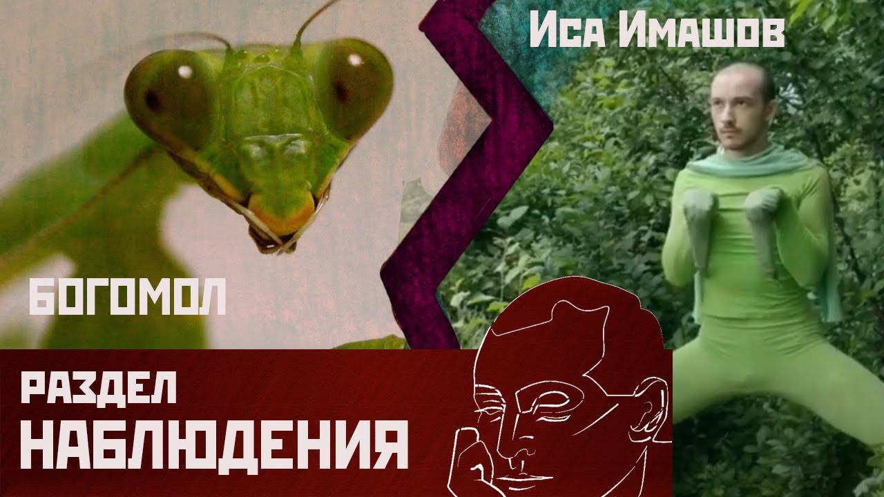 Иса Имашов Богомол смотреть онлайн