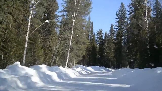 СОЛНЕЧНЫЙ МЕЖДУРЕЧЕНСК 25 ФЕВРАЛЯ смотреть онлайн