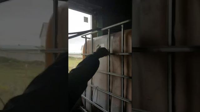 Система охлаждения пресс-форм смотреть онлайн