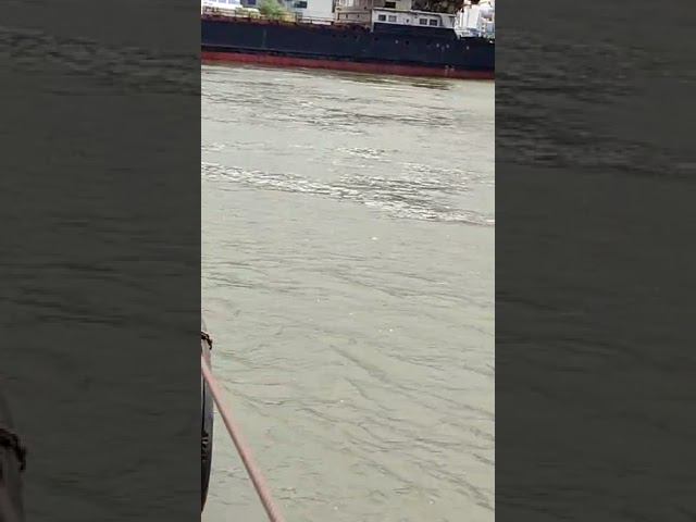 На Дону около 11-00 грузовое судно «Зеленга» столкнулось с опорой ростовского разводного ЖД моста смотреть онлайн