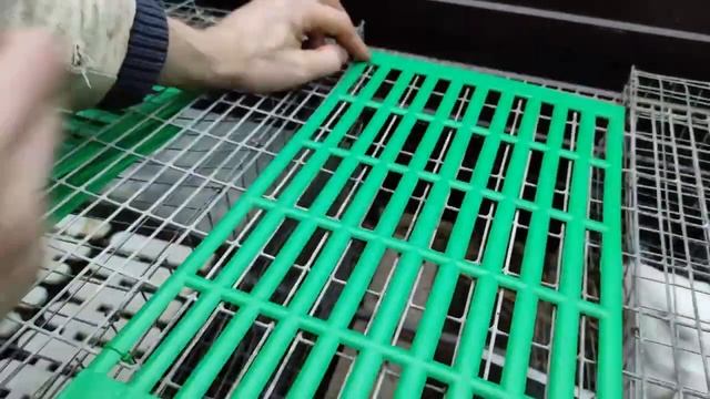 Обзор друга/Какие выбрал/Купить пластиковый трапик для кролика интернет магазин - Большой фермер смотреть онлайн