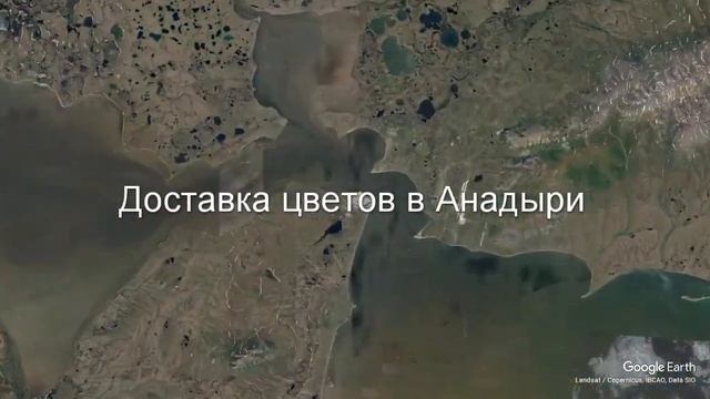 Доставка цветов в Анадыре - Заказ букетов от компании Скорая подарочная помощь смотреть онлайн