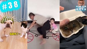 ПРИКОЛЫ 2023 СМЕШНЫЕ ВИДЕО ЧУДИКИ ИЗ ТИК ТОК СМЕХ ДЛЯ ВСЕХ №38