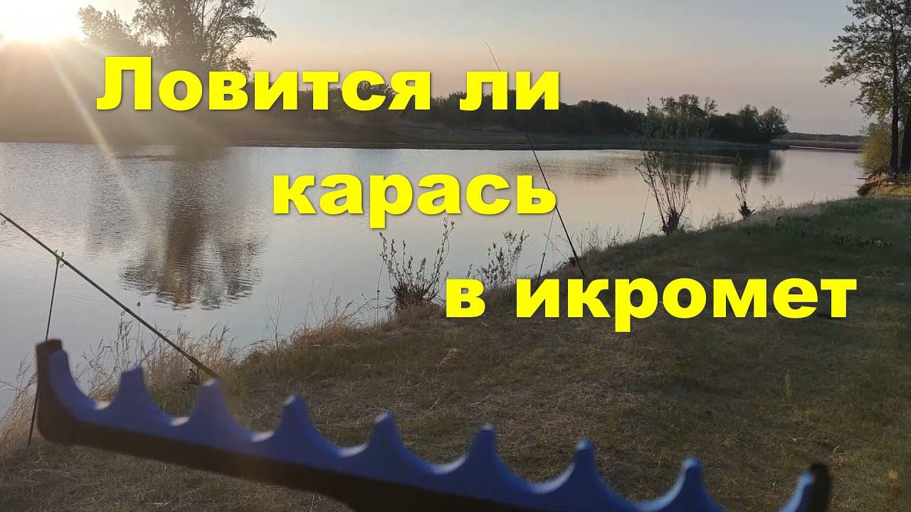 Ловится ли карась в икромет смотреть онлайн
