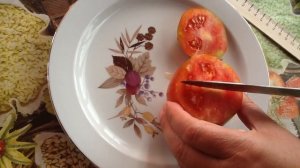 томат Клубничный десерт  Дегустация