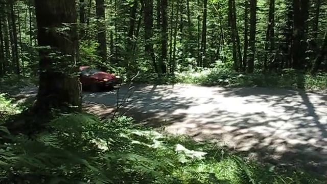 AE86 Oregon Forestry Roads III