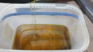 Замена масла в редукторе Hidea 9.9. Что там спустя 10 моточасов?????