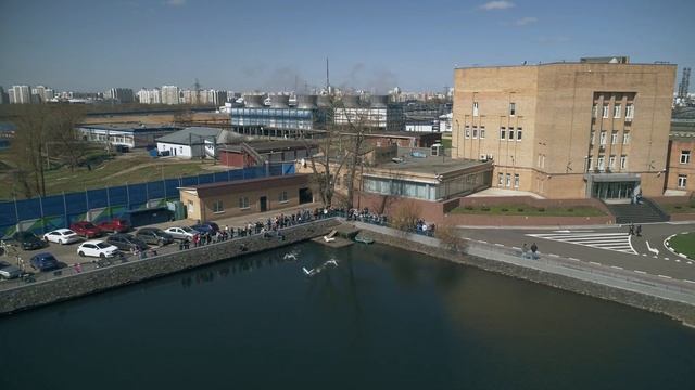 Белые лебеди вернулись в пруд Московского НПЗ смотреть онлайн