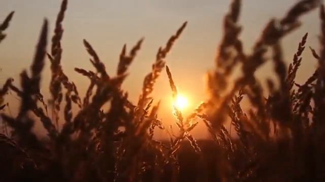 Осеннее настроение Диана Шпоркина и Федор Горобцов смотреть онлайн