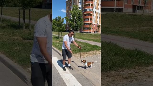 Обозначение Границы «Дорога» смотреть онлайн