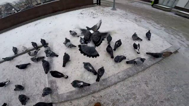 VLOG / ПРОКОЛ ПУПКА / ПРОГУЛКА С ИВАНОМ ЭФИРОВЫМ / КОМНАТА ОХРАНЫ / Татьяна Крапивина смотреть онлайн