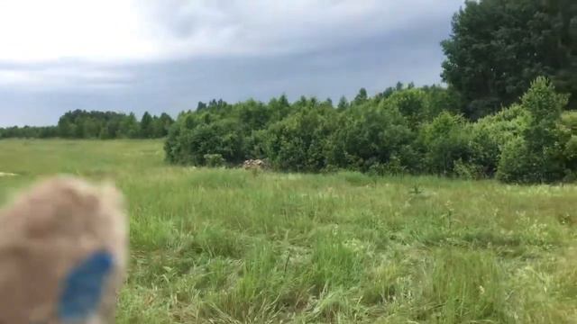 База - Пасека "У пяти озёр". Идёт монтаж инженерных сетей! смотреть онлайн