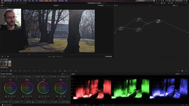 DLF - DaVinci Resolve 13 - Nodes смотреть онлайн