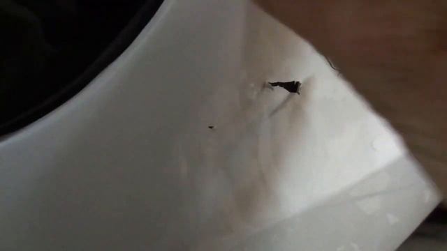 Что будет если приклеить плёнку на автомобиль на воду или мыльный раствор? смотреть онлайн