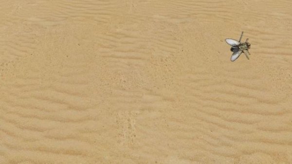 CAT GAMES l Cat game catch  Big fly | CAT TV | 10 min. (top view)