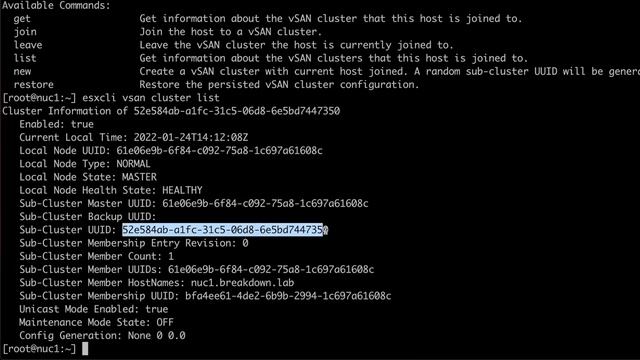Delete vSAN Datastore without vCenter смотреть онлайн