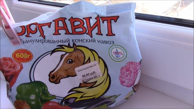 Огород на балконе. Первый урожай китайского огурца. смотреть онлайн