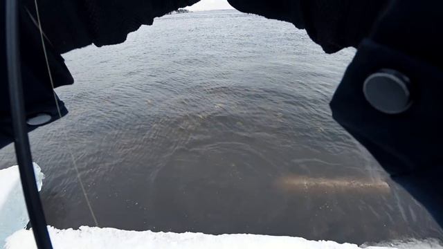 Голавль на джиг зимой. Рыбалка в центре города смотреть онлайн