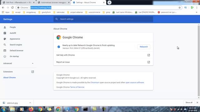 Tutorial Bikin Bot Dengan Python Chrome dan Selenium Part 4 Install Chrome driver смотреть онлайн