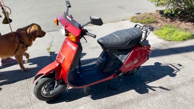 1985 Honda Aero NC80 Scooter! The Fastest 80cc Scooter Ever Made! смотреть онлайн