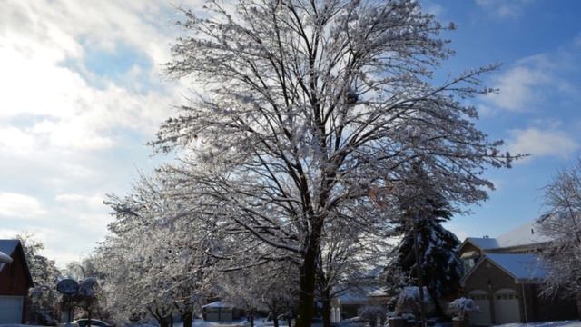 Nikon D5200 DSLR camera Sample Photos - Winter 2013 - GTA Toronto Ice Storm Aftermath смотреть онлайн