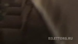 театр им. Моссовета схема зала, ложи бельэтажа