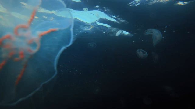 See The Unseen With Alexander Semenov