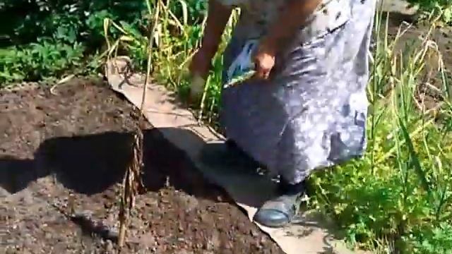 Ремонтный Мастер