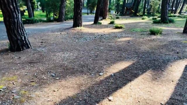 Утро в Лдзаа смотреть онлайн
