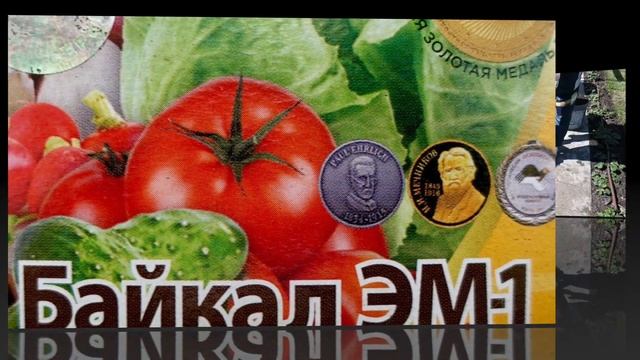 ПОСЕВ СЕМЯН на грядки / Мастер-класс /УЛУЧШАЕМ СТРУКТУРУ ПОЧВЫ! смотреть онлайн