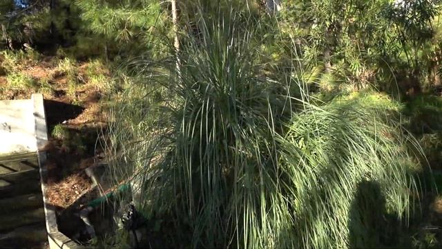 Завтрак шведский стол в санатории Мыс Видный 4*/Территория санатория/Отдых в Сочи