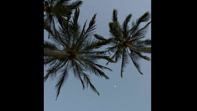 SfTory-катюха слышь(slow+reverb) смотреть онлайн