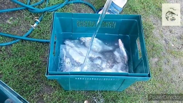 Лодочные шедевры